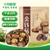 十月稻田 金钱菇 200g 干香菇 小香菇 山珍菌菇干货 煲汤火锅炒菜食材