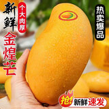 庾丰 海南芒果 新鲜水果生鲜整箱当季大青皮金煌芒 热带孕妇玉芒果 10斤装(净果9斤)单果200g+