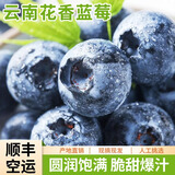 储褚【顺丰空运】云南新鲜蓝莓鲜果 国产花香蓝梅大果 时令水果  8盒装/125g（单果17mm左右）