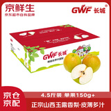 京鲜生 长城山西玉露香梨 4.5斤装 单果150g+ 生鲜端午水果
