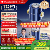 惠尔顿前置过滤器15T大通量过滤25微米反冲洗家用全屋净水器 实时自动清洗刮洗自来水防爆过滤器P0038pro 自行安装【15T-升级25微米精滤】