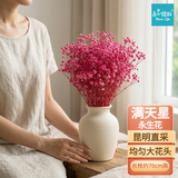匠心绽放满天星干花永生花束天然干花家居摆件客厅摆设装饰布置粉色20274
