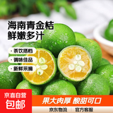 海南青金桔新鲜小金桔 2斤大果（10g-20g）