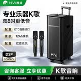 惠威（HiVi）户外广场舞音响 K歌唱歌大功率KTV移动拉杆音箱 乐器舞台演出 蓝牙连接 MP28