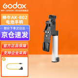 神牛（Godox）ML100Bi摄影灯双色温手持补光灯人像补光灯控制室摄像灯附件V口电池附件套装AK-B02【官方标配】