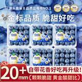 鲜级佳 云南花香蓝莓【SF京东/普快多地次日达】巨无霸新鲜超大蓝莓礼盒 【80%选】金钻级丨巨大果18mm+ 125g*6盒【超划算-全家畅吃】净600g