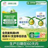 伊利【新鲜日期】臻浓牛奶高钙250ml*16 +50%钙 咖啡搭档礼盒装