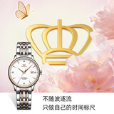 天王（TIAN WANG）手表女士 生日礼物昆仑系列钢带机械女表LS5876TP.D.TP.W