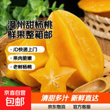 京喜加福建漳州甜杨桃新鲜水果洋桃鲜果红龙扬桃五角星阳桃整箱包邮 带箱3斤净重2.7斤