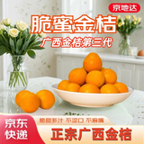 京地达广西金桔三代脆蜜金柑净重2斤金桔单果约17g新鲜水果特产源头直发