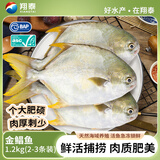 翔泰海南深海金鲳鱼2.4斤/3-4条净重BAP认证生鲜鱼类 海鲜水产