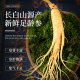 仙草至尊长白山人参保鲜参10只 5g/支 精选鲜人参 煲汤泡酒材料 节日礼品