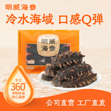 明威海参 鲜食海参辽刺参即食 生鲜冷冻即食海参水产送礼单个装 1斤（10-15头）