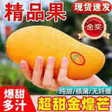 田良季广西金煌芒果大青玉水仙新鲜芒果凯特生鲜水果送礼品物盒 净重5斤装【很划算】 甄选特级果【单果250-300g】