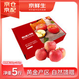 京鲜生山东栖霞红富士苹果 12粒 净重5斤 单果190g-240g 生鲜礼盒