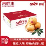 京鲜生【绿色认证】长城羊脂秋月梨 5斤装 超大果5-6粒 单果400g+ 水果