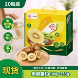 佳沛（zespri）x1号会员店联名款阳光金奇异果20粒礼盒单果约146-175g水果猕猴桃