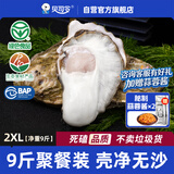 贝司令鲜活乳山生态生蚝2XL 净重9斤 32-38只 生鲜源头直发露营聚会