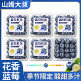 山姆伯伯云南花香蓝莓王盒装【多地次日达】新鲜水果礼盒送礼 【花香级】精挑果王丨单果18mm+【香甜】 125g*4盒【巨划算-80%人选】净400g