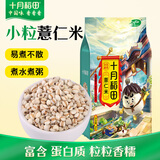 十月稻田 薏仁米 2斤 红豆薏米煮水 五谷杂粮 高蛋白粗粮 粥米 八宝粥原料