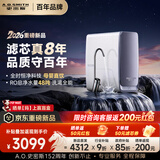 史密斯（A.O.SMITH）佳尼特【26年新品】蓝鲸1000G家用净水器厨房专用台下用净水机直饮一体机8年RO膜 CR2500AE3