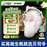 贝司令鲜活乳山生态生蚝2XL 净重4斤 13-17只生鲜源头直发露营聚会