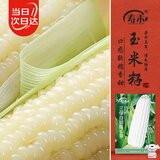 寿禾白甜糯玉米种子苗大棒型超甜加糯菜籽 白甜糯六号玉米种子 100g