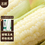 北蔬 白甜糯玉米种子苗早熟超甜大棒型 白玉糯909玉米种子200g约700粒