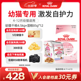 皇家幼猫 干湿搭配   K36 4.5KG+ KJP 85G*12