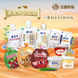 庄园牧场老兰州酸奶甘肃特产低温酸奶风味发酵营养早餐奶源头直发 【全家福酸奶】 11袋/杯 各口味1
