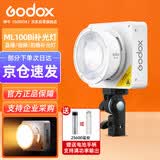 神牛（Godox）摄影灯双色温可调便携夜拍灯人像补光灯户外控制室电影视频摄像灯 ML100Bi L【官方标配】