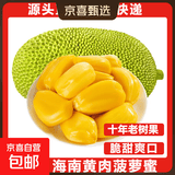 海南黄肉菠萝蜜新鲜水果波罗当季三亚特产一个装干包老树一级 净重14-19斤【生果勿切】