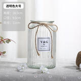 神瓶八玻玻璃花瓶摆件家用玻璃瓶客厅透明创意插花瓶家居欧式小清新水培瓶 18阔口竖条透明