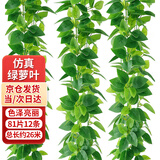 盛世泰堡绿萝仿真花花藤假花仿真绿叶植物装饰管道遮挡装饰布置81叶12条装