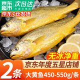 弹指鲜生 黄花鱼 活冻大黄鱼 冷冻鱼类 节日送礼 【大号2条】450-550g*2条