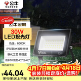 公牛（BULL）LED投光灯户外庭院工厂园林灯露营灯 IP65防水等级30W-6500K白光