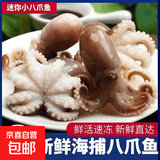 活冻章鱼 迷你小八爪鱼冷冻小章鱼 海鲜源头直发 1500g(净重)  含30%保护冰
