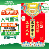 十月稻田 当季新米 五常香米 五常大米 10斤（东北大米 5公斤/十斤）