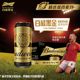 百威黑金啤酒500ml*12整箱装焦香醇厚京东自营踏春送礼