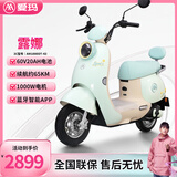 爱玛（AIMA）铅酸超长续航电动车电瓶车女士时尚成人代步外卖电动摩托车露娜 浅柠绿【智能互联+1000W电机】