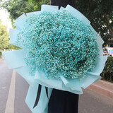 幽客玉品鲜花速递满天星花束礼盒表白送女友老婆生日礼物全国同城配送 蓝色满天星超大花束