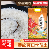 当季新米软香丝苗米晚稻籼米长粒香大米猫牙米煲仔饭米晚稻米 丝苗米5KG
