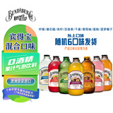 宾得宝（Bundaberg）含气饮料混合装375ml*6瓶 8口味随机发货 澳洲踏青出游果汁气泡水
