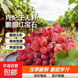 正宗克伦生无籽红提脆甜红宝石葡萄当季新鲜水果葡萄 3斤
