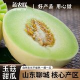 蔬农联 头茬 玉菇甜瓜冰淇淋香瓜甜瓜当季新鲜水果现摘现发礼盒 精选5斤礼盒装（净重4.5斤）