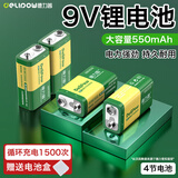 德力普（Delipow）充电电池 9V锂电池大容量550mAh九伏6F22充电套装 适用万用表/话筒/麦克风等
