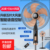 容声电风扇家用落地扇可摇头电扇大风力制冷卧室办公室宿舍大风量风扇可伸缩家用扇 20英寸【高端语音升级/24H定时】黑色