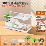 添悦乌龟饲养缸家用带晒台爬台养龟专用箱客厅生态造景塑料小鱼缸耐摔 【中号】+晒台+绿植