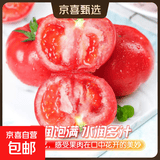 新鲜沙瓤西红柿自然成熟现摘现发番茄下蔬菜生鲜减肥单果75g+ 新鲜山东沙瓤西红柿 3斤 净重