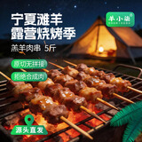 羊小柒宁夏滩羊新鲜羔羊肉串  烤串原切羊肉串 烧烤食材 5斤 源头直发